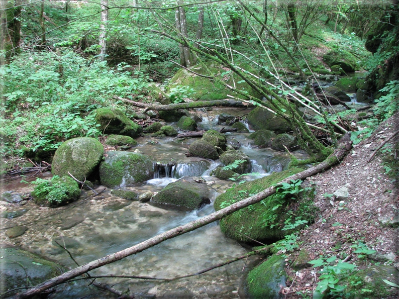 foto Lago del Corlo